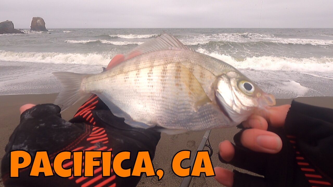 Surf Fishing Up In NorCal :D! Pacifica CA