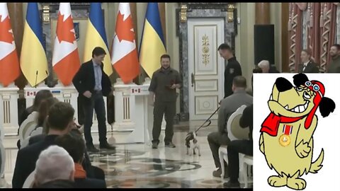 Trudeau e Zelensky premiano l'agente canino😂