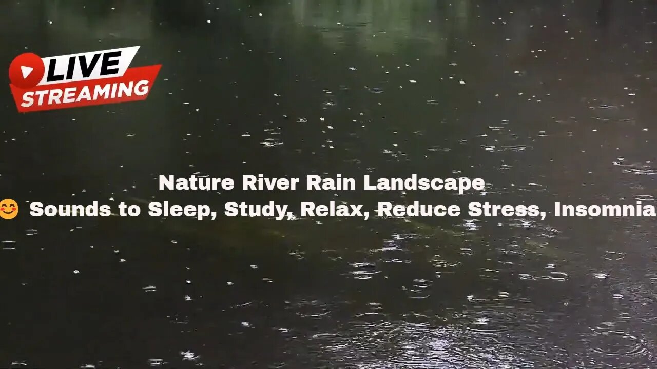 Nature River Rain Landscape 😊 Sounds to Sleep, Study, Relax, Reduce Stress, Insomnia