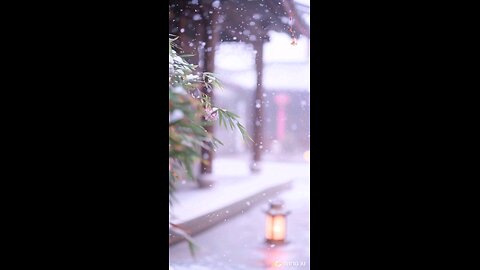 Snow ❄️ Fall