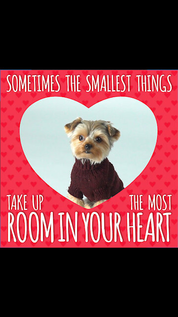 The Smallest Things [GMG Originals]