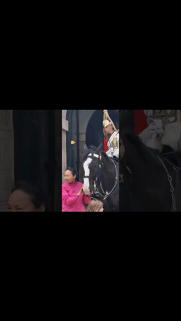 THIS WAS THE SECOND TIME SHE WAS TOLD NOT TO HOLD THE REINS #horseguardsparade