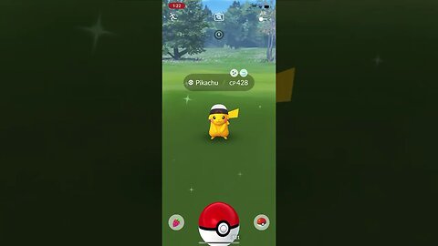 Shiny Compilation