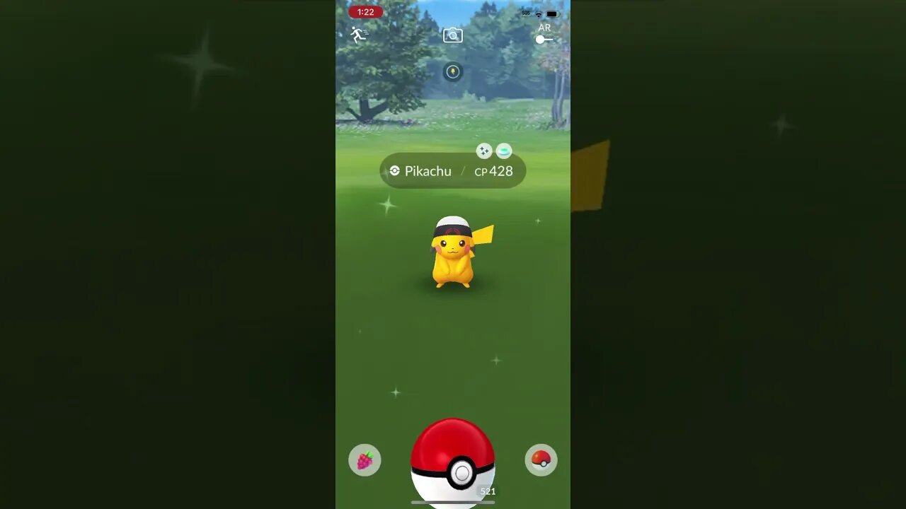 Shiny Compilation