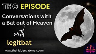 THG Episode: Conversations with a Bat out of Heaven