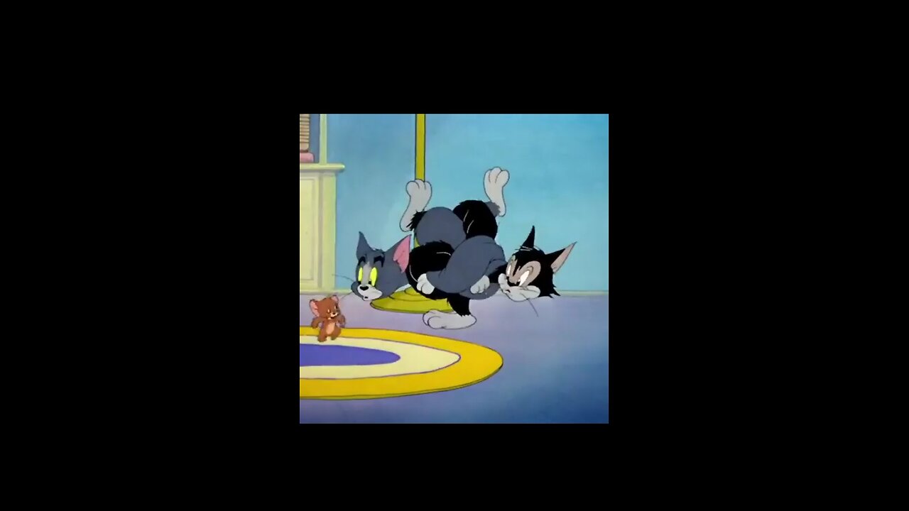 Tom and jerry cartoon