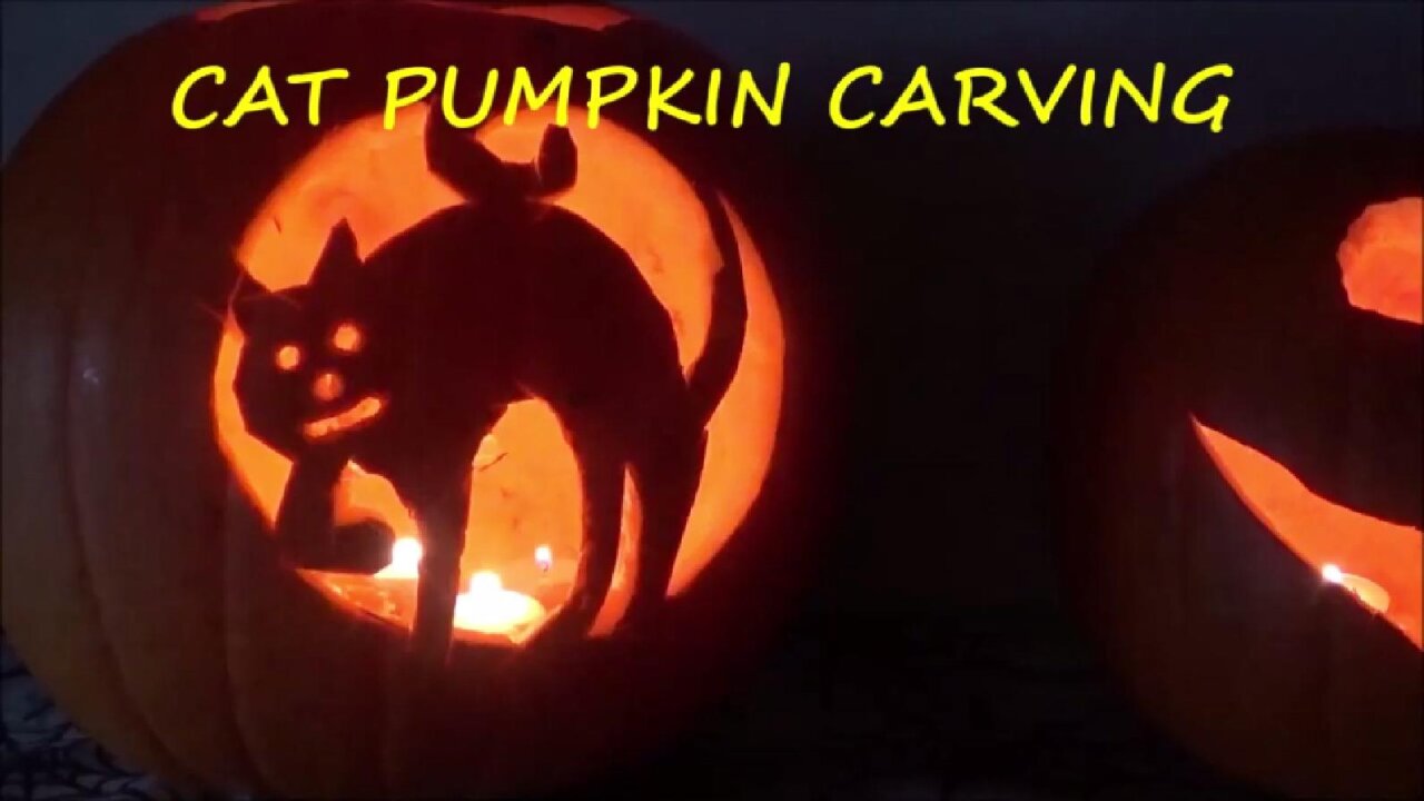 HALLOWEEN CAT PUMPKIN CARVING