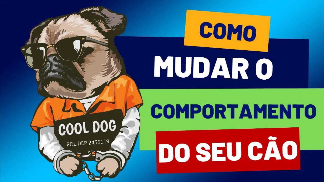 Como Mudar o Comportamento do Se Cão