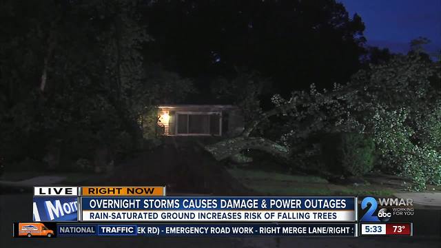 Another round of storms brings down trees