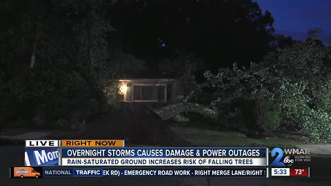 Another round of storms brings down trees