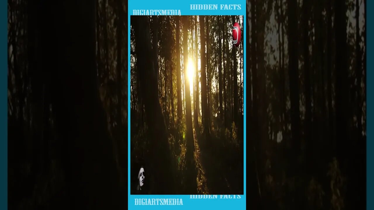 فيروزيات : حكاية وغنية