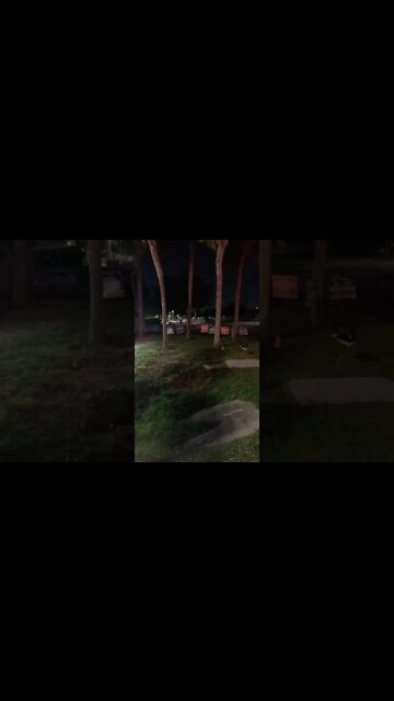 Isn’t this considered as littering? #Politicians #Orlando #Florida #Electionseason