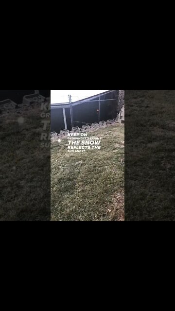 Holy Crap its Snowing LOL 😂 #shorts