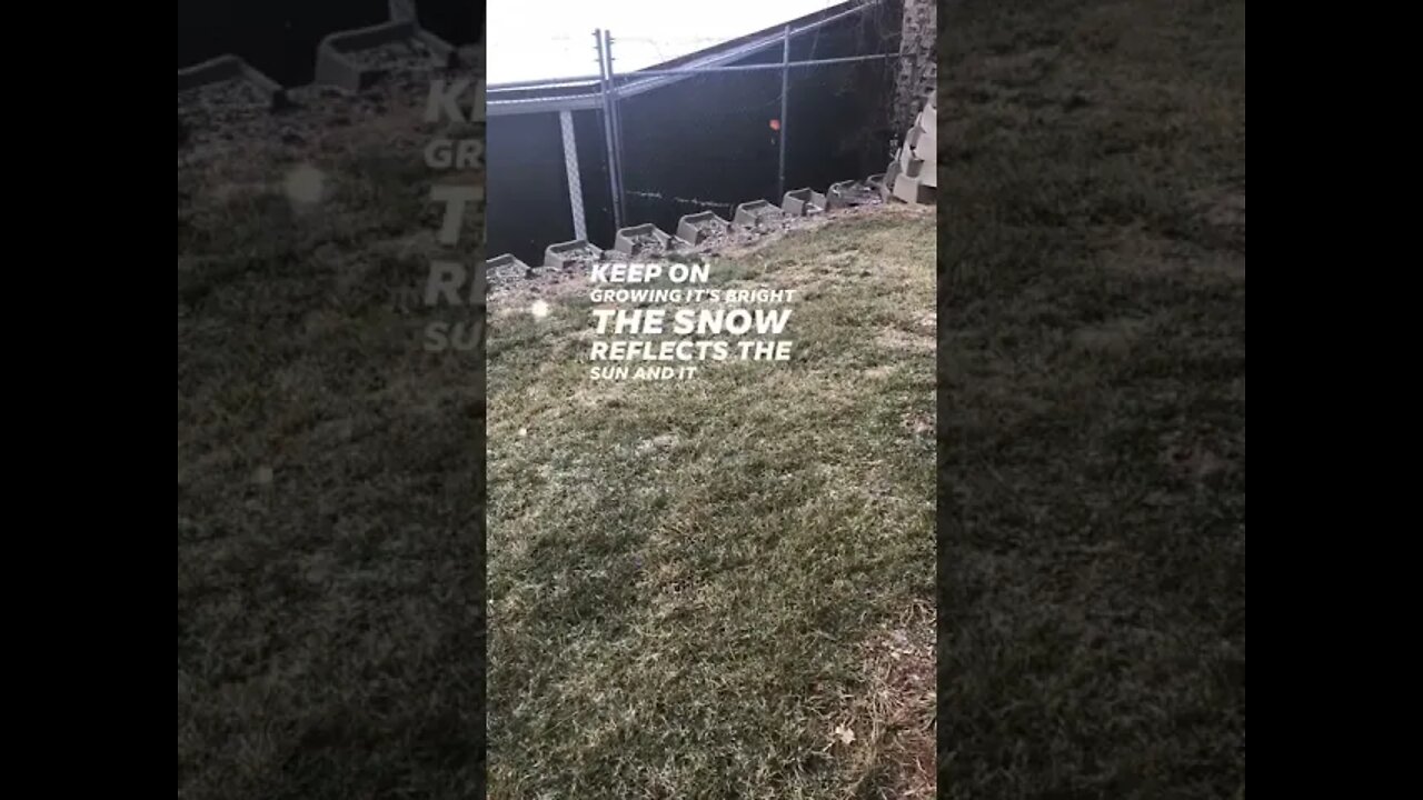 Holy Crap its Snowing LOL 😂 #shorts
