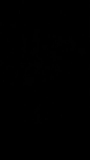 Olympics blaspheme Jesus Christ