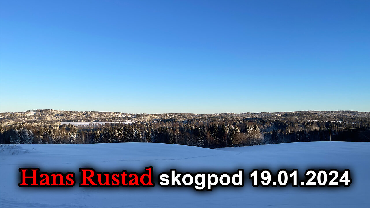 Skogpod 19. januar 2024