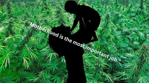 The Role of Cannabis in Parenting- Kai & Ru- #176