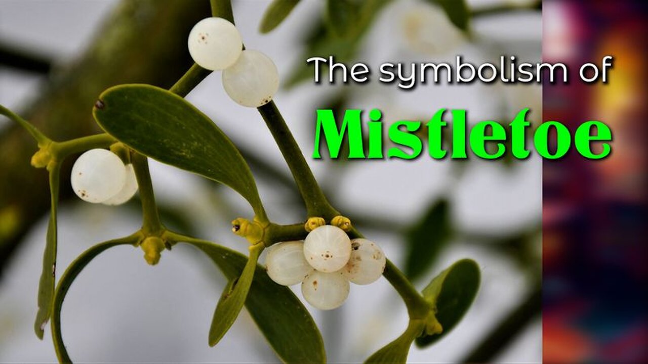 The symbolism of Mistletoe