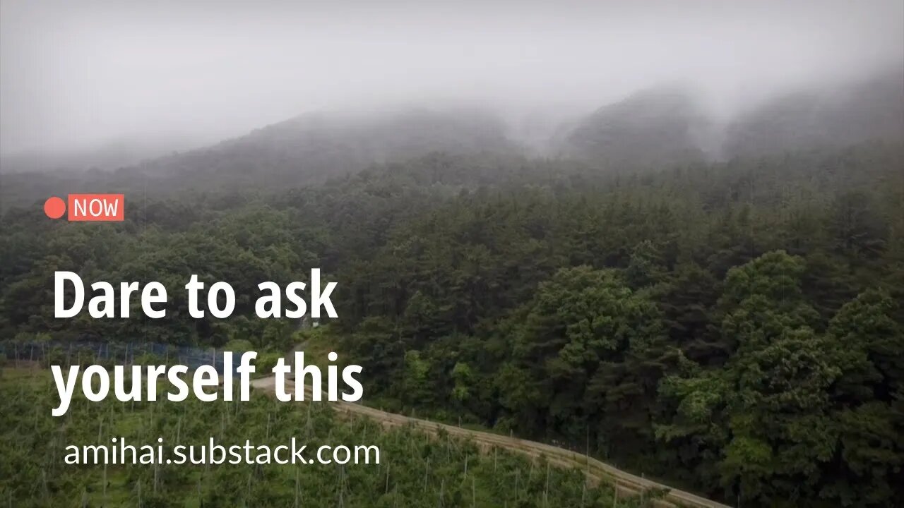 Dare to ask yourself this | amihai.substack.com | Art of Now