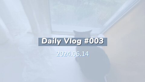 [ASMR]my little cat black(heihei) daily 003