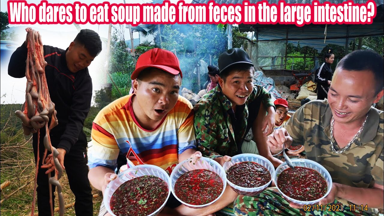 Who Dares To Eat Soup Made From Feces In The Large Intestine?