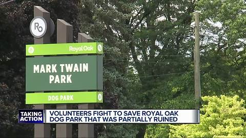 Volunteers fight to save Royal Oak dog park partially ruined by developers