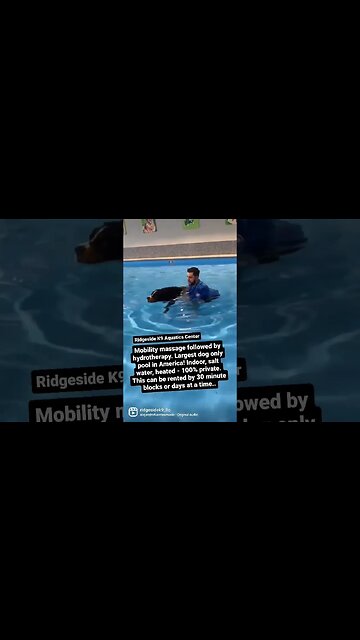 Hydrotherapy For Bernese Mountain Dog. #dog