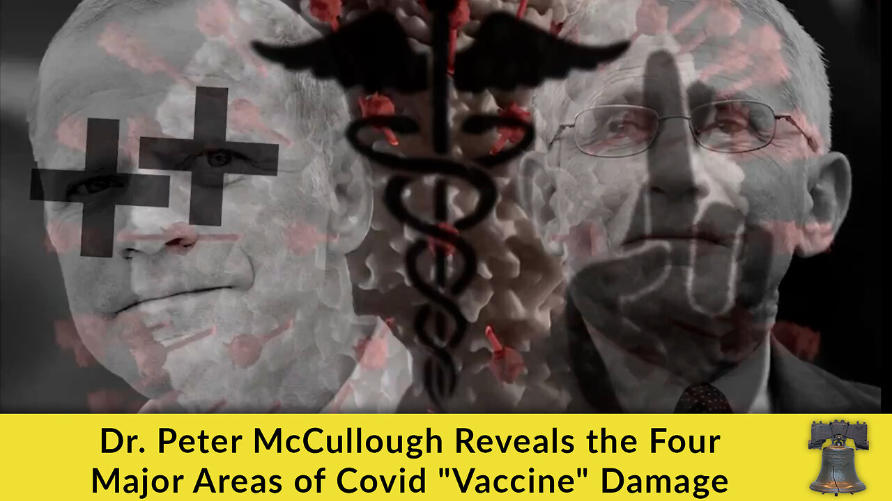 Dr. Peter McCullough Reveals the Four Major Areas of Covid "Vaccine" Damage