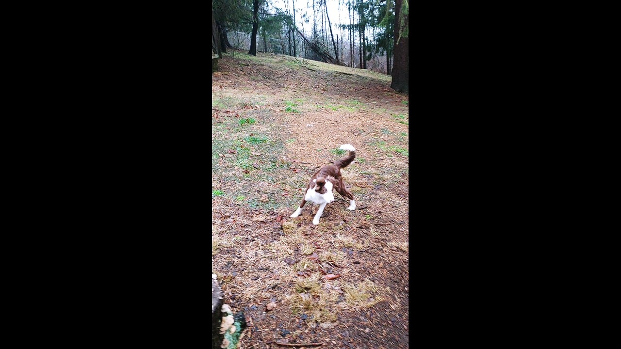 Tucker and Trip Wrestle