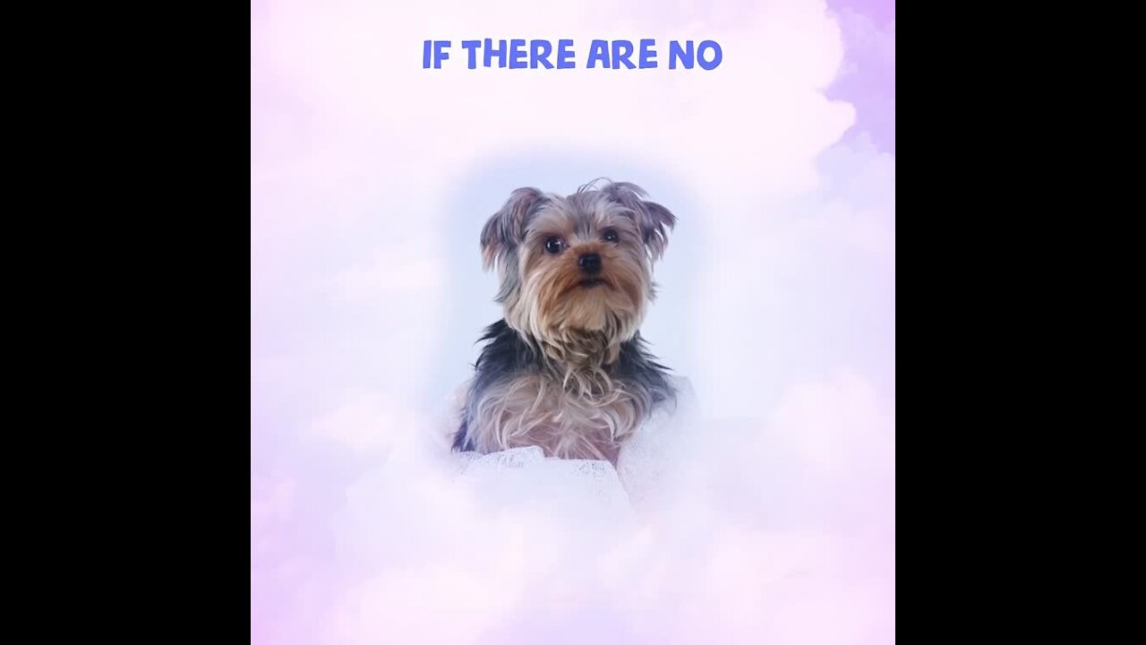 If there are no dogs in heaven [GMG Originals]