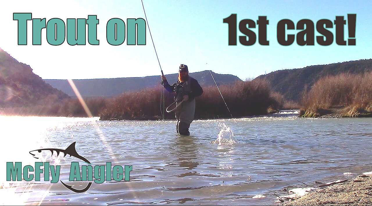 Hooking a RAINBOW TROUT on my 1st cast! - Fun day on the San Juan River - McFly Angler Episode 9