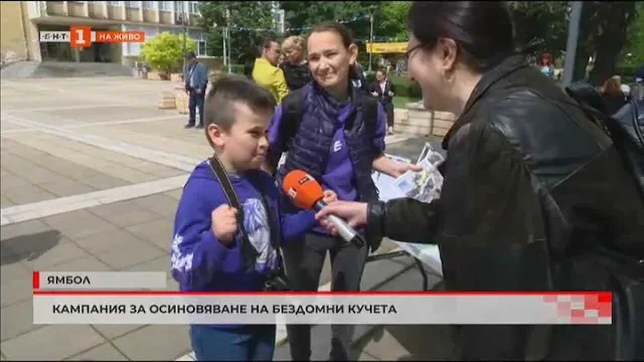 Кампания за стимулиране осиновяването на домашни любимци