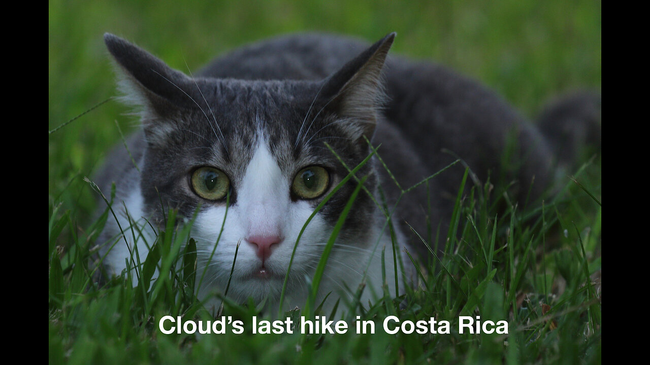 What will Cloud see on our hike in Costa Rica today?