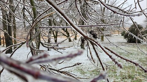 February's Ice Storm