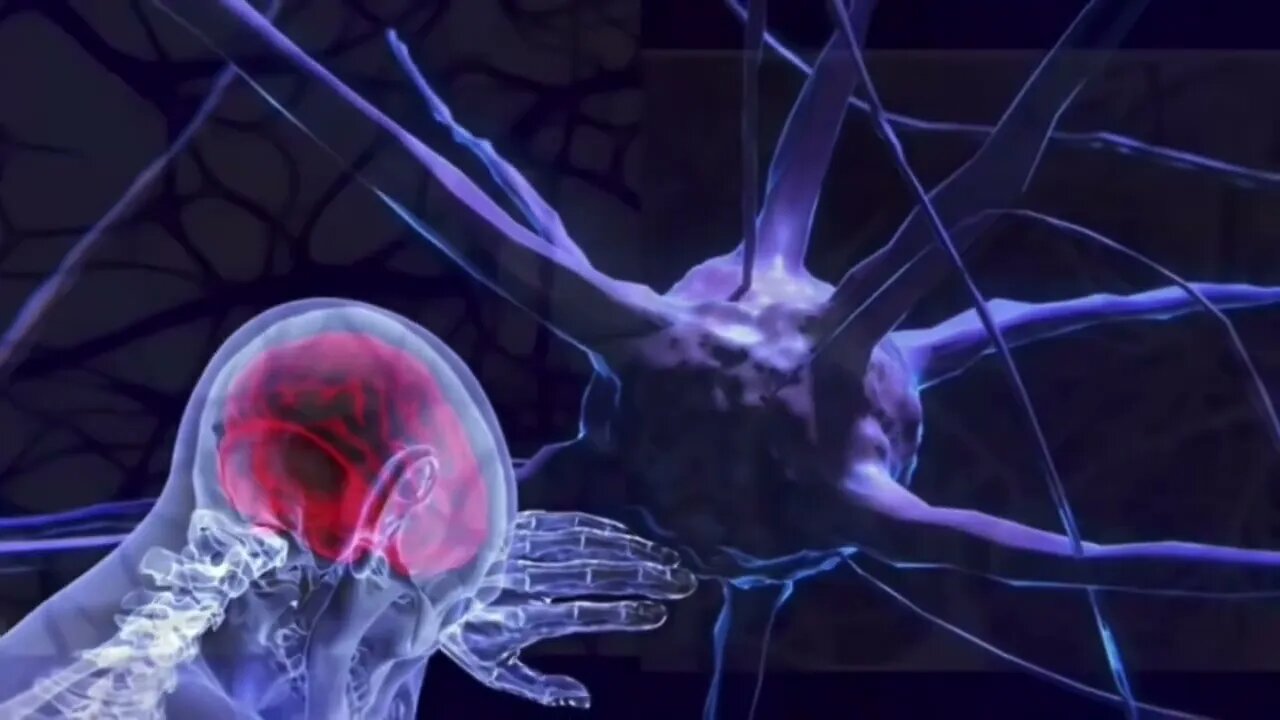 Mycelium, psilocybin, root structure, & Neural networks