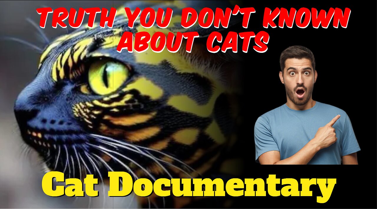 Cat Documentary l Truth you don't known About Cats