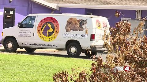 Heroes of the Hurricane: Gulf Coast Humane Society gets a helping hand