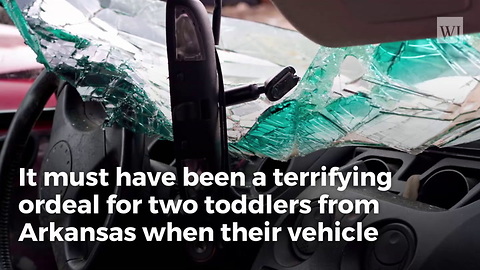 Toddlers Survive Alone for Days Without Food and Water After Mother Killed in Car Wreck