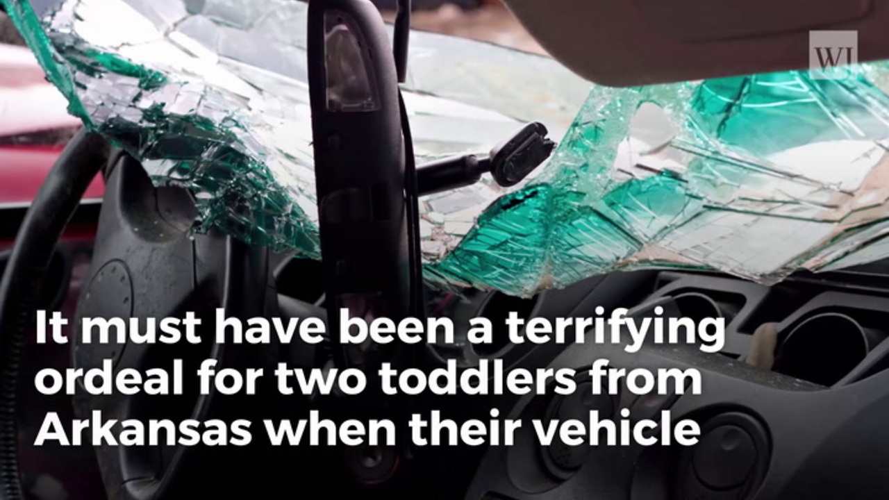 Toddlers Survive Alone for Days Without Food and Water After Mother Killed in Car Wreck