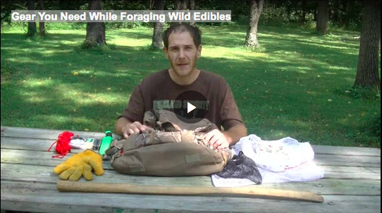 Gear You Need While Foraging Wild Edibles