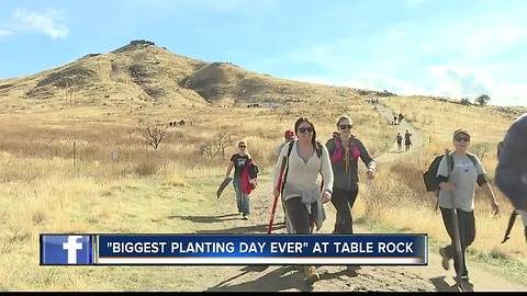 Biggest planting day ever at Table Rock