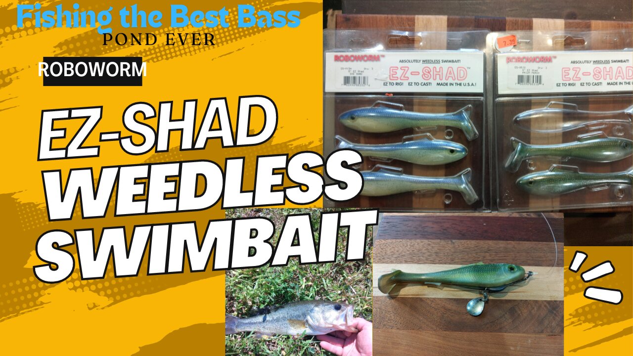 Best Bass Pond Ever w RoboWorm EZ-Shad Swimbait !