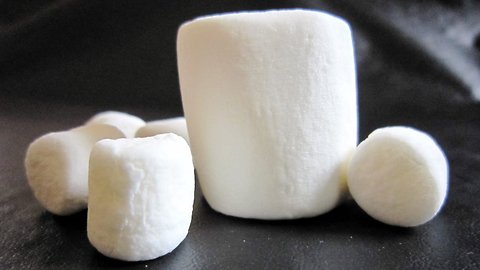 The Famous Marshmallow Test May Not Predict Success Like We Thought