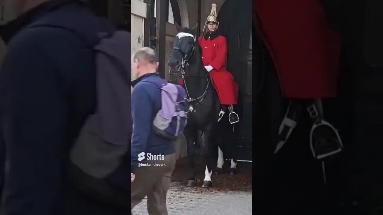 Two slips in one #horseguardsparade