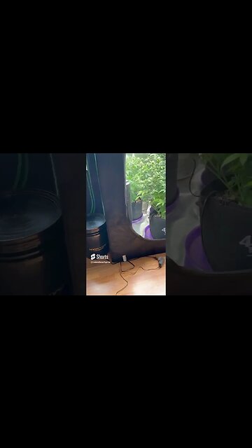 Mars Hydro Drip Irrigation Kit (First Run) #purpleflower #420