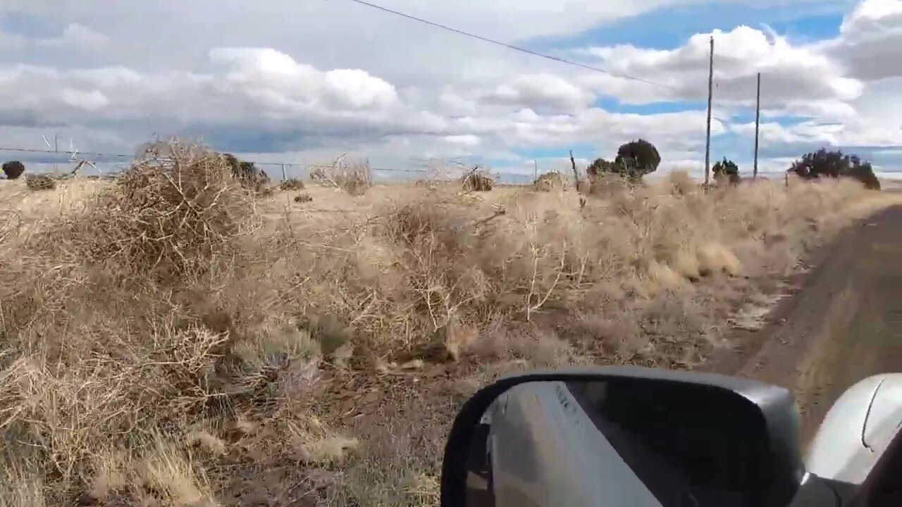 TumbleWeed Fence