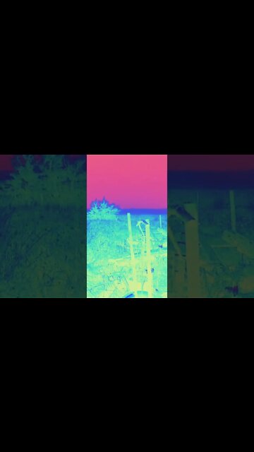 #slowmotion #snow #ohhighbud