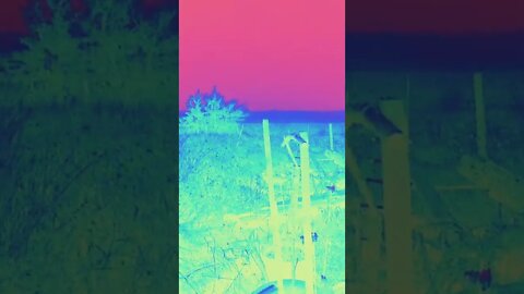 #slowmotion #snow #ohhighbud