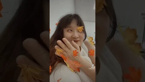 FLYING LEAVES ON MY ROOM