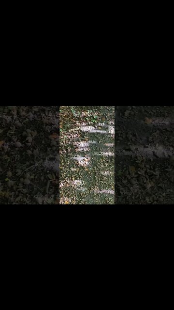 A woman just gave me the dirtiest look ever as I walked past her in the woods.